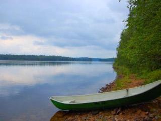Holiday Home Rantapuro by Interhome - Joutsenniemi - 8