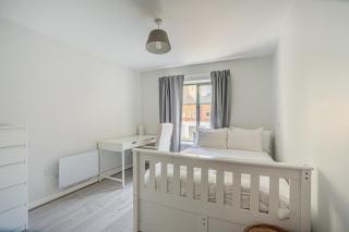 Inviting 2BD Flat 5 Mins to Temple Bar - 5