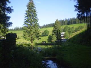 Grundhäusle Gütenbach - Gütenbach - 4