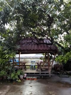 Sakhone guesthouse - Ban Pho Touane - 4