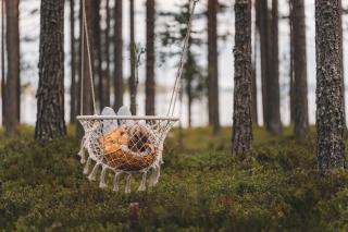 Dream-mökkivaunu Pistocampilla - 6