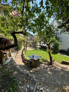 APARTMENT Wohnung 1 ZKB 2 Betten Zentral Idar Oberstein - Idar-Oberstein - 0