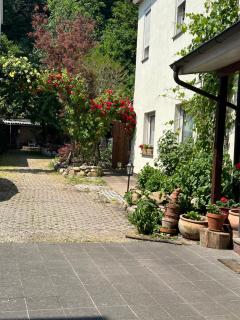 APARTMENT Wohnung 1 ZKB 2 Betten Zentral Idar Oberstein - Idar-Oberstein - 9