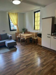 APARTMENT Wohnung 1 ZKB 2 Betten Zentral Idar Oberstein - Idar-Oberstein - 4