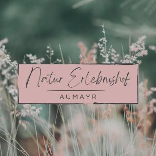 Natur Erlebnishof Aumayr - Gutau - 0