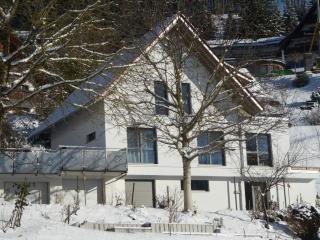 Ferienwohnungen am Dollenberg - Bad Peterstal-Griesbach - 9