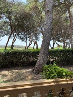 Apartment Campoamor Las Ramblas - Orihuela Costa - 6