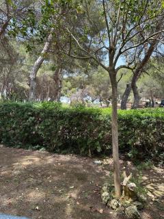 Apartment Campoamor Las Ramblas - Orihuela Costa - 7