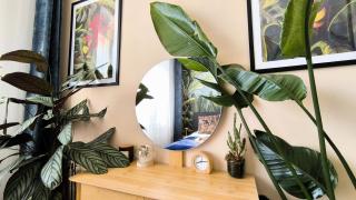 Apartment Botanica - Zvolen - 4