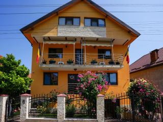 Vila Alina Calimanesti - Călimăneşti - 9