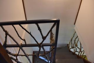 DIVCIBARE KUCA centar - 1