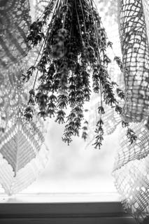 Pista bácsi háza - 8