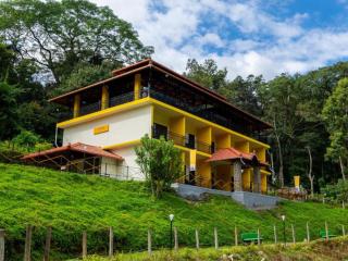 The Hosteller Coorg Rainforest, Madikeri - Madikeri - 7