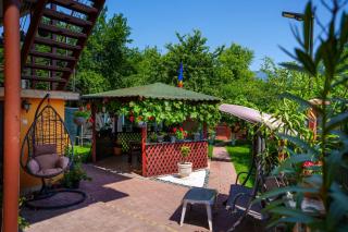 Vila Alina Calimanesti - Călimăneşti - 4