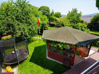 Vila Alina Calimanesti - Călimăneşti - 3