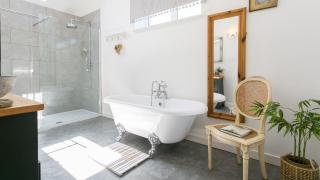 Gwenyn Haf Bach - Nefyn - 1