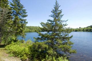 Mirror Lake Lodge - Woodstock - 7