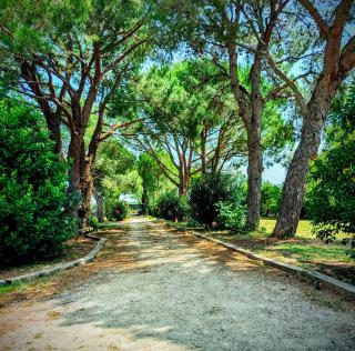 Le Gîte d'Entressen studio Piscine Jeux & Pétanque Istres Miramas - 2