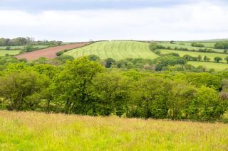 Demelza Cottage Apartment - Bodmin - 9