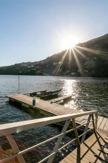 Refúgio entre o Pomar e o Rio Douro - Raiva - 0
