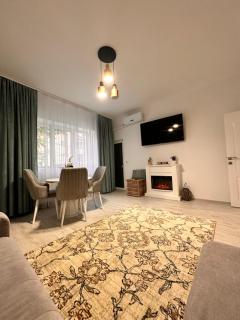 Cristina Dreams Apartaments 2 - Botoşani - 2