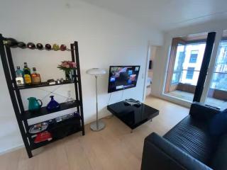 finest apartment in town - Copenaghen - 6