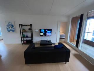 finest apartment in town - Copenaghen - 4