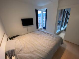 finest apartment in town - Copenaghen - 2