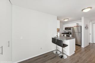 The Penthouse at Grand Plaza - Chicago - 3