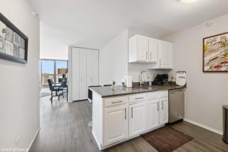 The Penthouse at Grand Plaza - Chicago - 1
