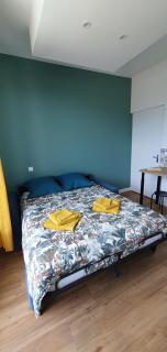 Studio 28m2 avec parking et piscine centre-ville - Aix-les-Bains - 1