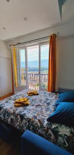 Studio 28m2 avec parking et piscine centre-ville - Aix-les-Bains - 2