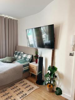 Cosy studio in Clapham Old Town - Londra - 6