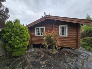 CUDDFAN LogCabin - Trawsfynydd - 9