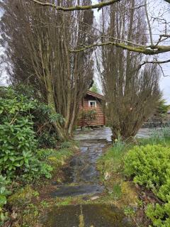 CUDDFAN LogCabin - Trawsfynydd - 5