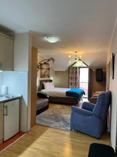 Apartments Aleksandra Cetinje - 9