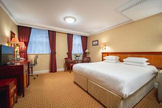 Grange Portland Hotel - Londra - 9