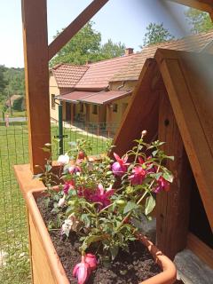 Őrségi Kuckó - - 9