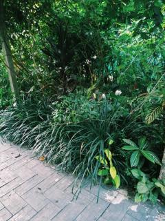 Wildfloral cottage marottichal - Jāmb - 4
