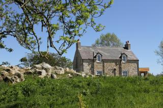 Jackdaw Cottage - Ballyward - 9