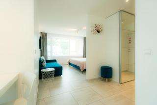 Ice apartment - Druskininkai - 8