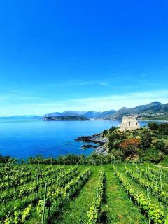 Villa Andrea in città dell'arcomagno - San Nicola Arcella - 5
