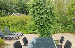3 Bedroom Lovely Home In Odder - Odder - 5