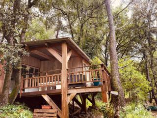 Le chalet du Rêveur - La Gaude - 9