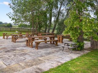 Lily Pad 9 - Uk43919 - Nassington - 6