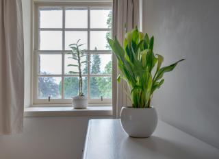 Penninghame Estate - Wallace Apartment - Challoch - 4