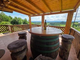 Wine Panorama house - Jastrebarsko - 8