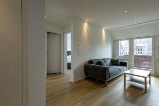 Luxury Apartments by Livingdowntown - Zurich - 4