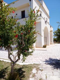 Tenuta degli Agrumi - Carmiano - 0