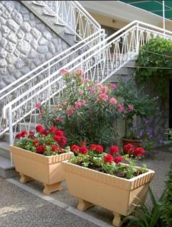 Apartments Josipa Krk centar - Krk - 8